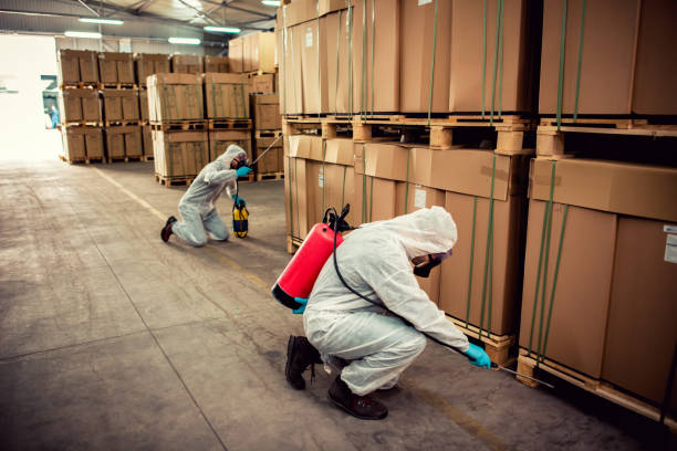 Best Pest Prevention Services  in Hallsville, TX
