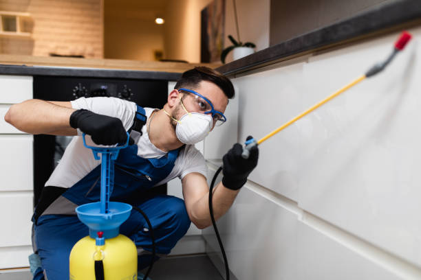 Best Wildlife Control Services  in Hallsville, TX