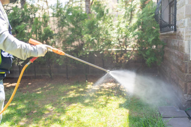 Best Rat Extermination Near Me  in Hallsville, TX