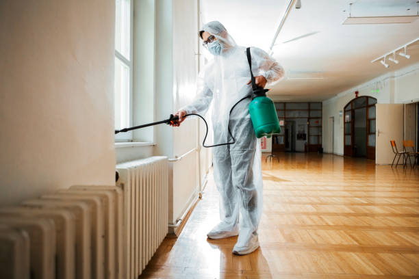 Pest Control for Restaurants in Hallsville, TX