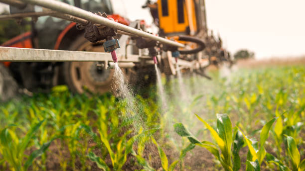 Best Commercial Pest Control Services  in Hallsville, TX
